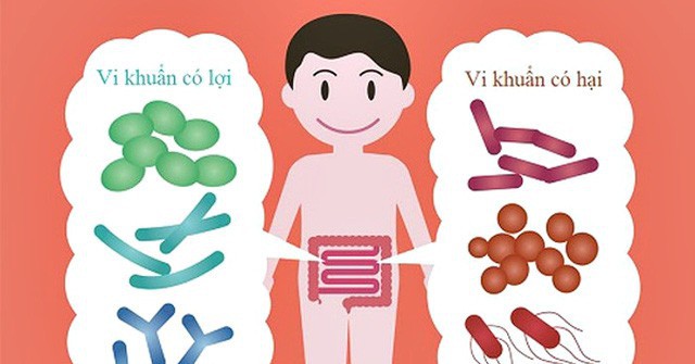 bổ sung lợi khuẩn